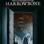 Das Geheimnis von Marrowbone4