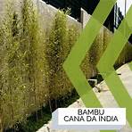 cerca de bambu para jardim2