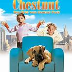 Chestnut Hill Film5