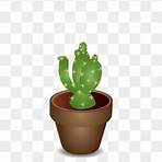 cactus png5