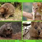 flora y fauna de australia wikipedia1