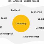 what is pest analysis2