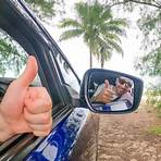 What should I do if I'm driving in the Cook Islands?4