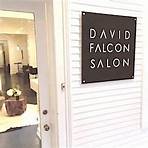david fallon salon1