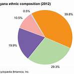 What race are Guyanese people?2