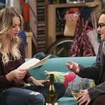 big bang theory 7 staffel3