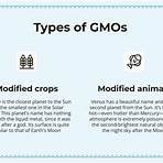 genetically modified organisms ppt4