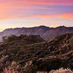 beverly hills kalifornia5