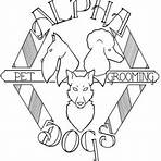 shooter alpha dog grooming dorchester4