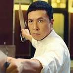 Is Ip Man 3 a kung fu movie?3