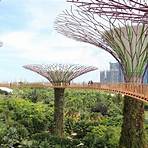 gardens by the bay5