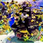 ripley's aquarium of canada toronto address4