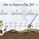 clay soil wikipedia4
