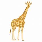 giraffe picture5