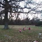 mount olivet cemetery nashville burial plots for sale2