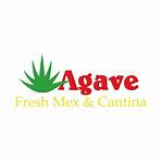 Agave Fresh Mex and Cantina Ormond Beach, FL3