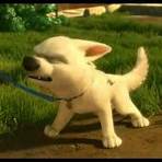 Bolt – Ein Hund für alle Fälle3
