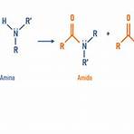 grupo amina e amida5