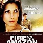 Fire on the Amazon3