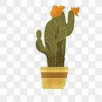 cactus png sin fondo3