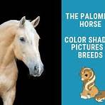 What is a palomino horse?3