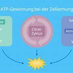 atp energie what is it4