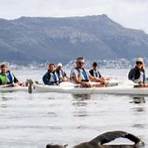 paddling with penguins4
