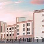 gallatin university of abu dhabi5