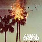 Animal Kingdom4