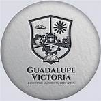 presidencia municipal de guadalupe victoria durango2