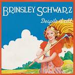 Brinsley Schwarz (musician)5