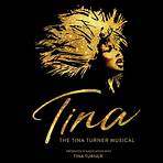 Tina Turner: Simply the Best - The Video Collection filme5