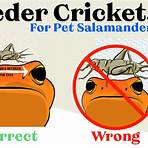 do salamanders need supplemental light for food3