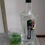 mojito1