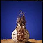 cast away wilson1