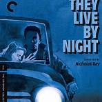 filme they live by night nicholas ray2