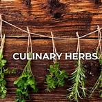 list of culinary herbs3