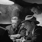 the asphalt jungle5