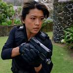 Will there be a Hawaii Five-0 reboot?4