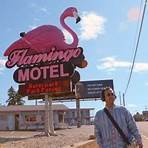 The Mystery of the Pink Flamingo Film1