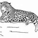 jaguar méxico colorear4