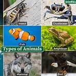 types of animals2