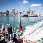 things to do in auckland4