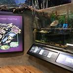 What is the gumbo limbo nature center?1