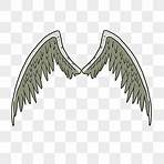 angel wings png2