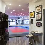New York Mixed Martial Arts1