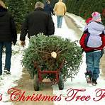 christmas tree farm for sale pennsylvania4