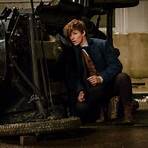 Fantastic Beasts and Where to Find Them2