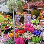 mercado de flores amsterdam5