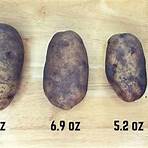 how much does a bag of russet potatoes weigh in ml2